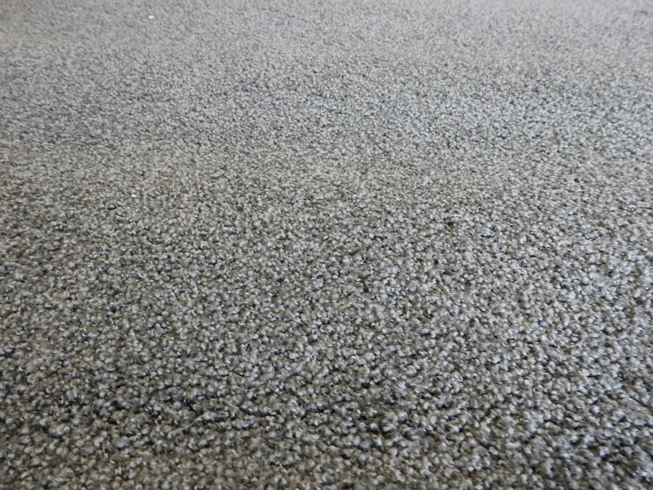 Matta Vorwerk Mossgrön 320Cm
