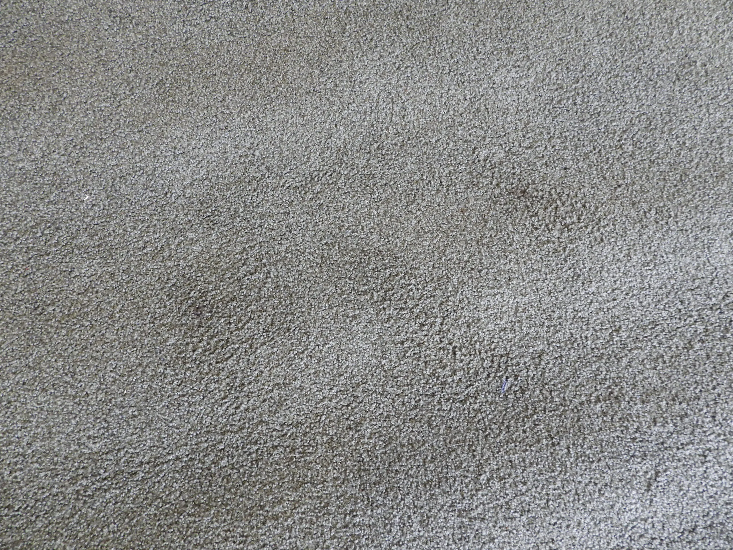 Matta Vorwerk Mossgrön 320Cm